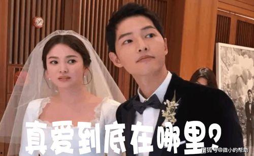 娱乐圈吃瓜去哪